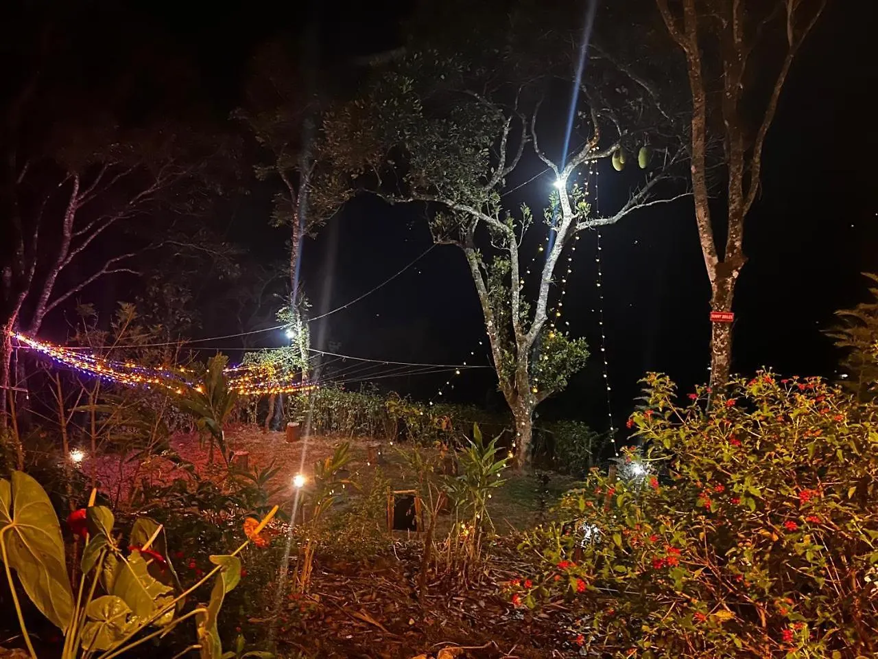 Nebula Nest Tent Camping מונאר אוהל מפואר