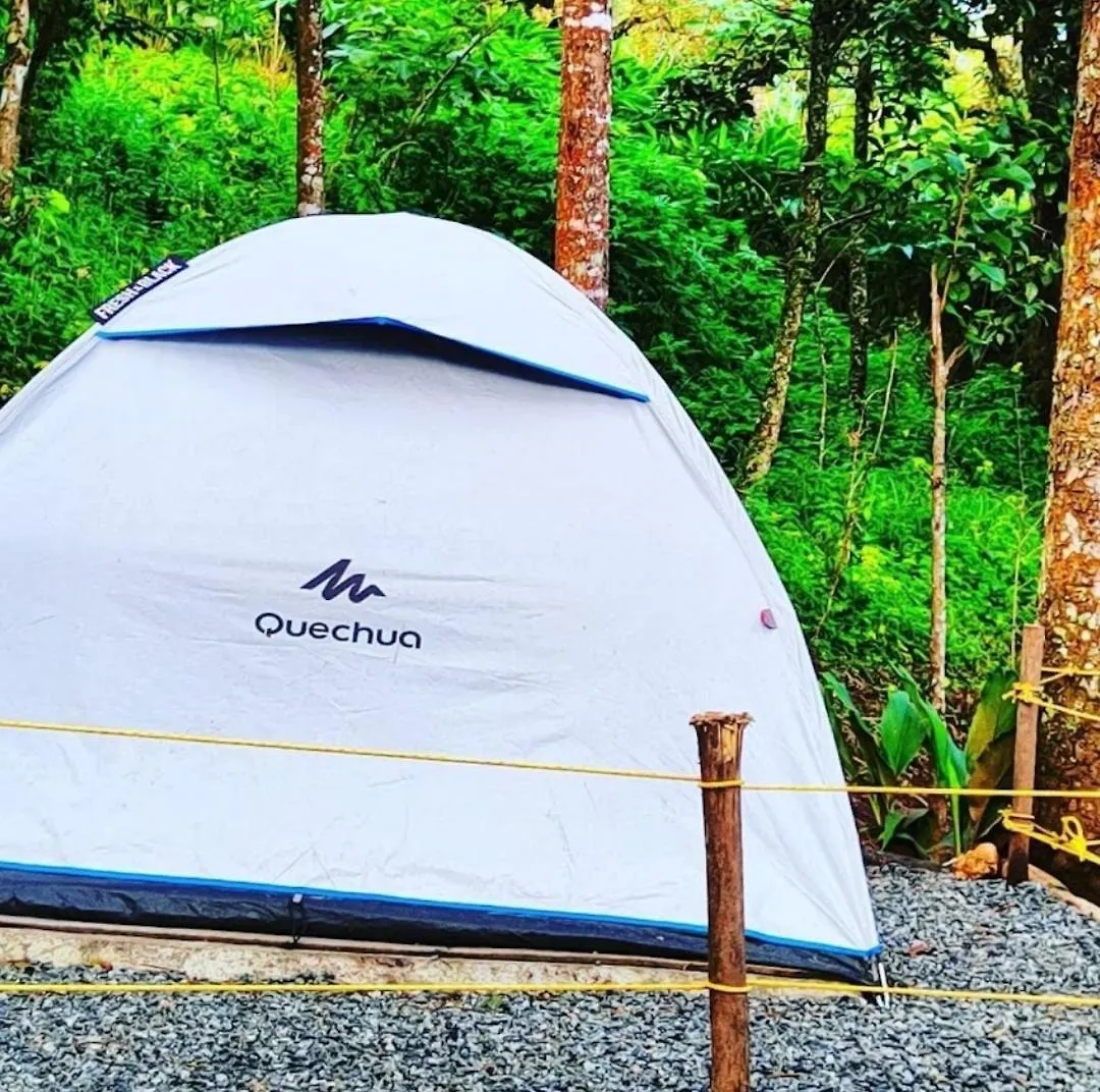 Nebula Nest Tent Camping מונאר אוהל מפואר
