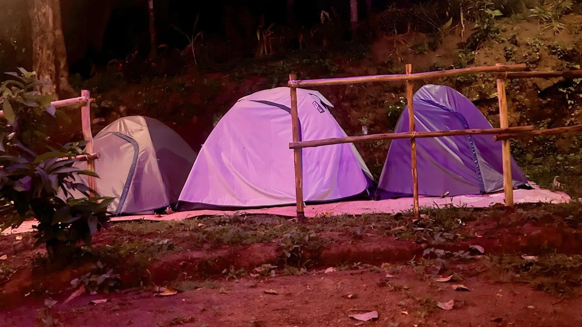 Nebula Nest Tent Camping מונאר